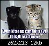 Click image for larger version

Name:	kitten.jpg
Views:	312
Size:	11.9 KB
ID:	10113