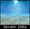 Click image for larger version

Name:	Bottom Of The Sea_23.jpg
Views:	3164
Size:	204.8 KB
ID:	29258