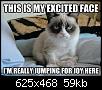 Click image for larger version

Name:	cat.jpg
Views:	179
Size:	58.6 KB
ID:	48833