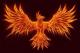 Fiery Phoenix's Avatar