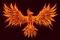 Fiery Phoenix's Avatar
